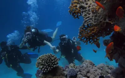 Viaje a Egipto 10 Días: Descubre lo Mejor de la Tierra de los Faraones