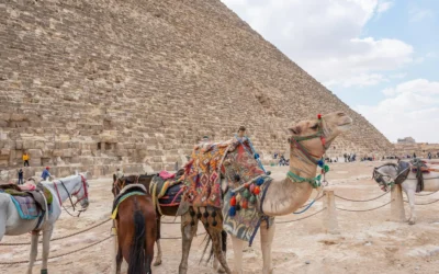 Consejos de viaje por Egipto