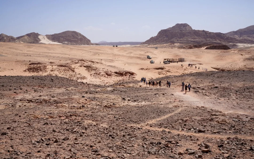 El Desierto Blanco y Negro Egipto