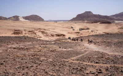 El Desierto Blanco y Negro Egipto