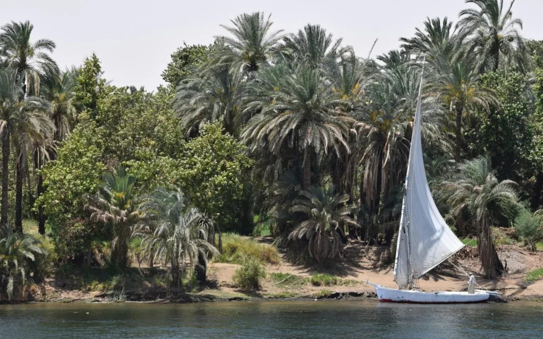 El Minya