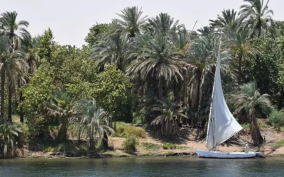 El Minya