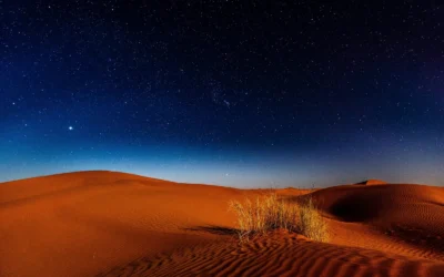 Experiencias únicas en Egipto lejos de las multitudes