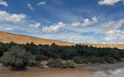 El Oasis de Bahariya Egipto