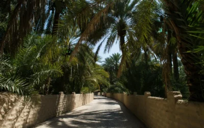 Oasis de Dakhla
