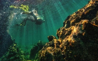 Oferta Egipto Fin de Año: Viaje Completo de 8 Días con Crucero y Hurghada