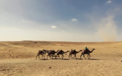 Los operadores turísticos más confiables de Egipto: Qué los hace especiales