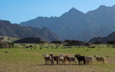 Parque Nacional Gebel Elba