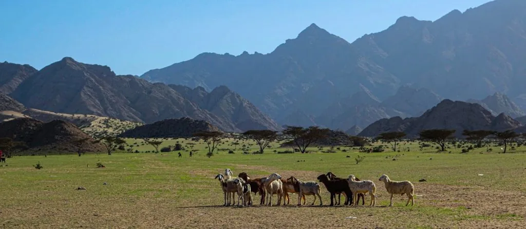 Parque Nacional Gebel Elba