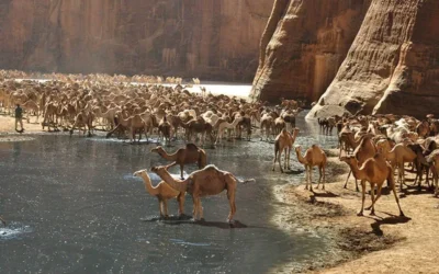 Parque Nacional Wadi El Gemal