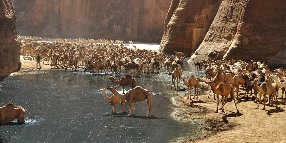 Parque Nacional Wadi El Gemal