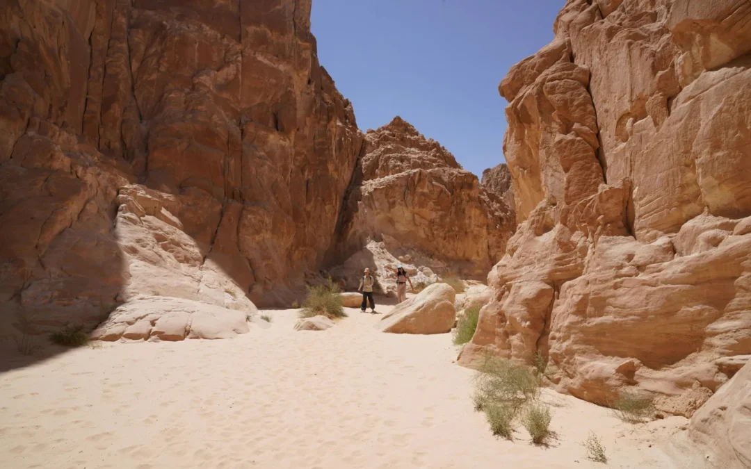 Tours ecológicos en Egipto