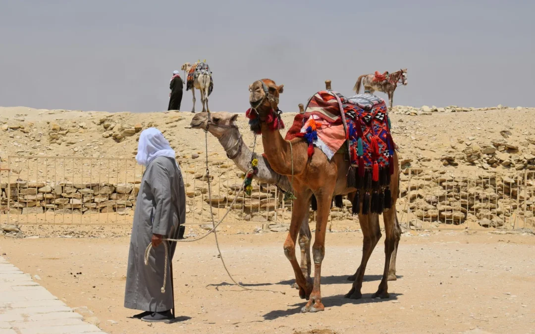 Tours familiares en Egipto