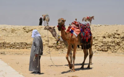 Tours familiares en Egipto