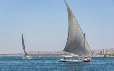Tours privados vs tours grupales en Egipto: ¿Cuál es mejor para ti?
