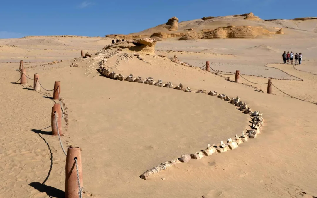 Wadi El Hitan Egipto