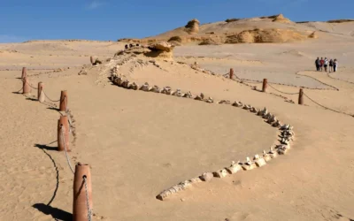 Wadi El Hitan Egipto