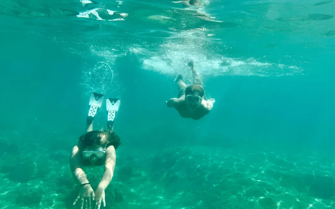 Excursión de snorkel a la isla de Tirán desde Sharm el-Sheij